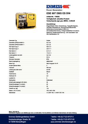 Бензинові електрогенератори Endress ESE 607 DBG ES DIN