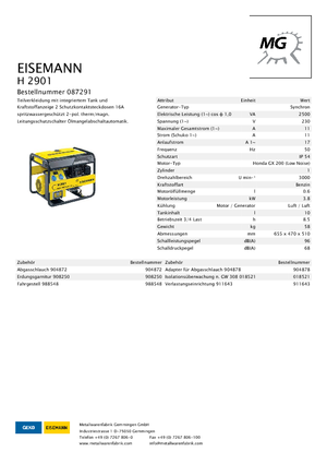 Бензинові електрогенератори Eisemann H 2901