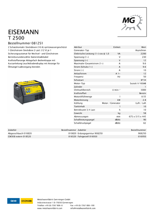 Бензинові електрогенератори Eisemann T 2500