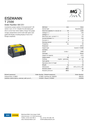 Бензинові електрогенератори Eisemann T 2500