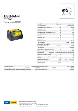 Бензинові електрогенератори Eisemann T 2500