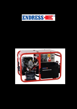 Бензинові електрогенератори Endress ESE 1006 DBS GT ES