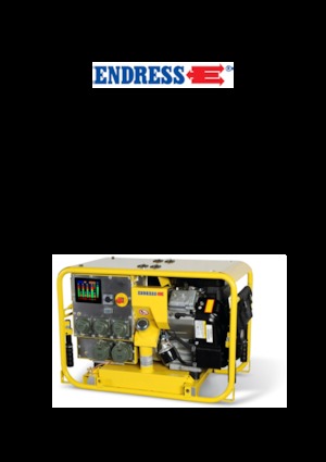 Бензинові електрогенератори Endress ESE 1304 DBG ES DIN