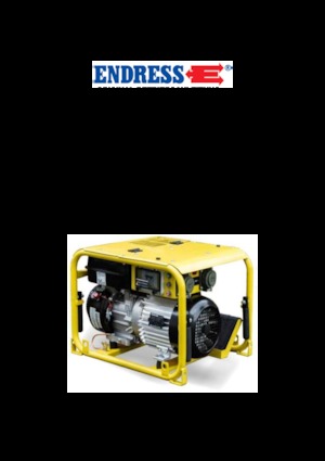 Бензинові електрогенератори Endress ESE 304 HG DIN