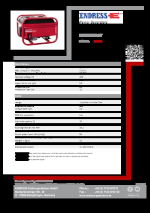 Бензинові електрогенератори Endress ESE 306 HS GT