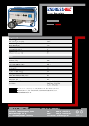 Бензинові електрогенератори Endress ESE 6000 BS