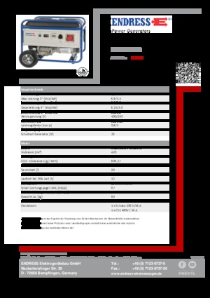 Бензинові електрогенератори Endress ESE 6000 DBS