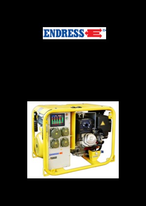 Бензинові електрогенератори Endress ESE 604 DHG ES DIN