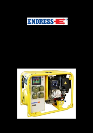 Бензинові електрогенератори Endress ESE 604 DHG ES DIN