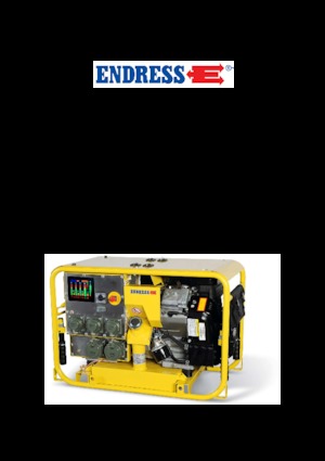 Бензинові електрогенератори Endress ESE 904 DBG ES DIN