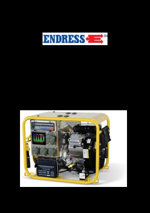 Бензинові електрогенератори Endress ESE 954 DBG ES DIN