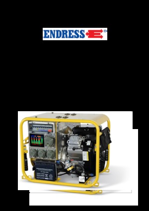Бензинові електрогенератори Endress ESE 954 DBG ES DIN