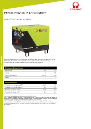 Бензинові електрогенератори PRAMAC Lifter P 12000 THB