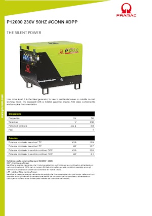 Бензинові електрогенератори PRAMAC Lifter P 12000 THB