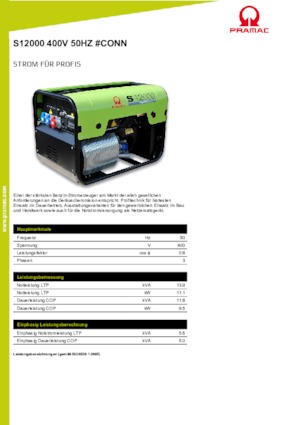 Бензинові електрогенератори PRAMAC Lifter SP 12000