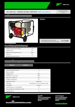 Бензинові електрогенератори INMESOL AH 1230-CA