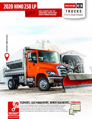 стійке шасі Hino 2020 HINO 258 LP 4x2
