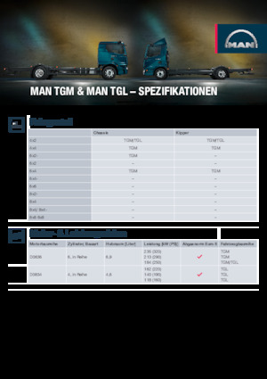 стійке шасі MAN TGL 12.250