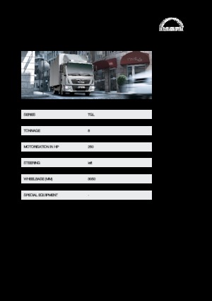 стійке шасі MAN TGL 8.250 4x2