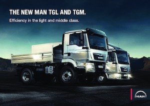 стійке шасі MAN TGL 12.250 4x2
