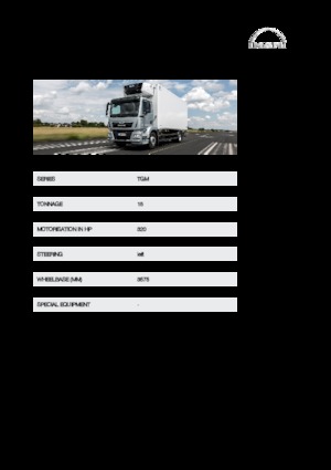 стійке шасі MAN TGM 15.320 4x2