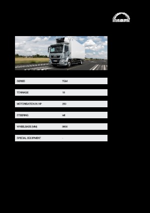 стійке шасі MAN TGM 18.250 4x4