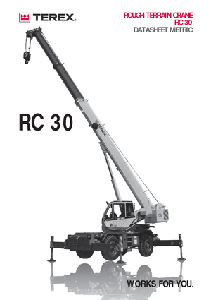 Крани для грунтових просторів Terex Bendini RC 30 (4x4x4)