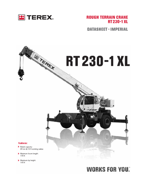 Крани для грунтових просторів Terex Bendini RT 230-1 XL