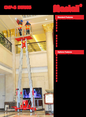 Підйомники з однією вертикальною щоглою Mantall CMP14-S