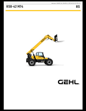 Телескопічні навантажувачі Gehl RS8-42 M74