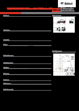 Телескопічні навантажувачі Bobcat TL30.60 Low Cab 100 V