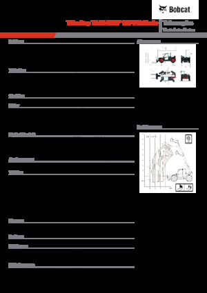 Телескопічні навантажувачі Bobcat TL43.80HF 135 V