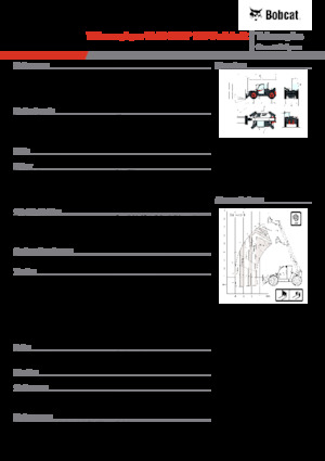 Телескопічні навантажувачі Bobcat TL43.80HF 135 V