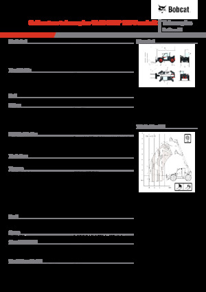Телескопічні навантажувачі Bobcat TL43.80HF 135 V