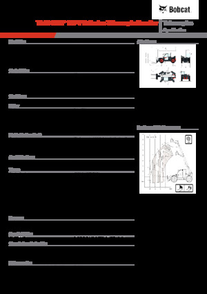 Телескопічні навантажувачі Bobcat TL43.80HF 135 V