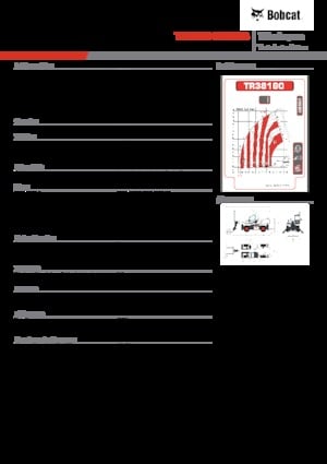 Телескопічні навантажувачі з верхньою будовою Bobcat TR38160EVO IIIB