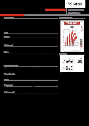 Телескопічні навантажувачі з верхньою будовою Bobcat TR38160EVO IIIB