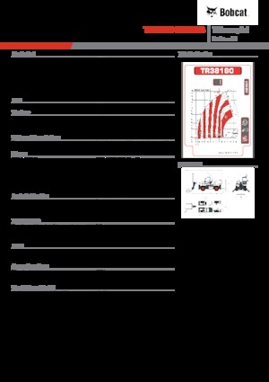 Телескопічні навантажувачі з верхньою будовою Bobcat TR38160EVO IIIB