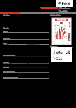Телескопічні навантажувачі з верхньою будовою Bobcat TR38160EVO IIIB