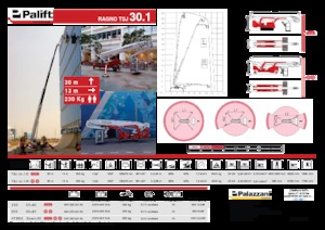 Колісні телескопічні підйомники Palazzani TSJ 30.1 R