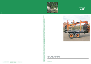 Крани навантажувальні Guerra 45 TW 1