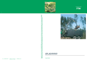 Крани навантажувальні Guerra 77 AY 1