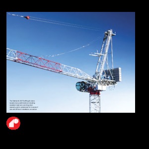 Баштові крани - вантажопідйомна стріла - верхнеповоротні Raimondi LR273