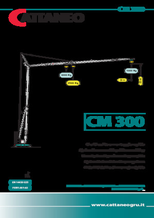 Баштові крани - штанга струмоприймача - нижнеповоротні Cattaneo CM 300