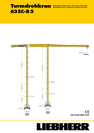 Баштові крани - штанга струмоприймача - верхнеповоротні Liebherr 63 EC-B 5