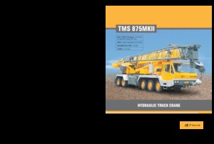 крани, змонтовані на вантажному автомобілі - телескопічні Til TMS 875 MK II
