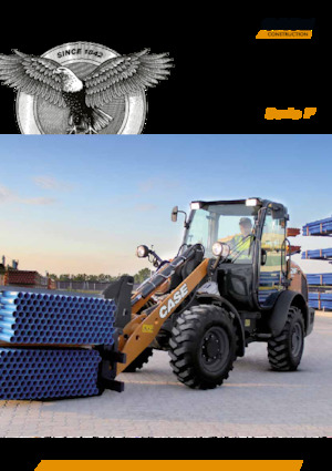 Колісні навантажувачі Case 221 F  