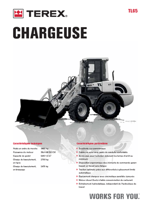 Колісні навантажувачі Terex TL 65
