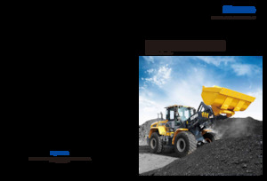 Колісні навантажувачі XCMG XC948