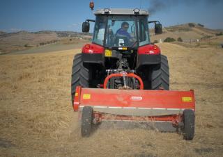 агрегати для мульчування Maschio Chiara 250 F